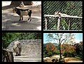 Ambientes y fauna de Zoológico de Caricuao