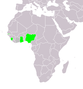 Карта Британской Западной Африки; современные Гамбия, Сьерра-Леоне, Гана и Нигерия