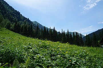 Байкальский заповедник