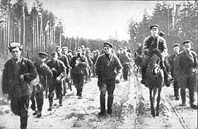 Советские партизаны на территории Белорусской ССР, 1943 год