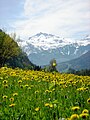 Spring in Glarus