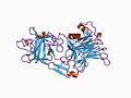 Тетаноспазмин (TeTN) — токсин белкового происхождения, один из сильнейших ядов в природе, поражает мотонейроны и блокирует выделение ацетилхолина в нервно-мышечных синапсах, тем самым вызывая сильнейшие судороги (т.н. тетанические). Продуцируется вегетативной формой бактерии Clostridium tetani, которая является возбудителем столбняка[11].