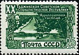 Ирригационная система