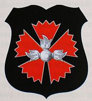 Средняя эмблема (нагрудный знак военнослужащих)