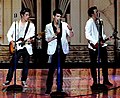 Jonas Brothers на концерте в 2010 году