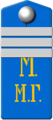 Нестроевой старшего разряда в должности старшего надзирателя за больными и ему равные госпитальные служители. Погон нижних чинов госпитальных команд (образца 1902 года)