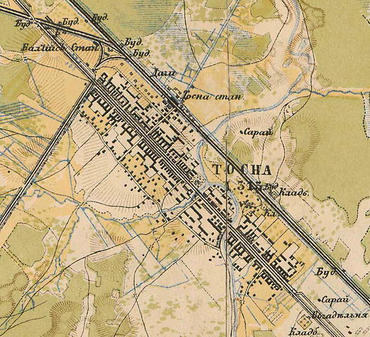 План слободы Тосна. 1885 год