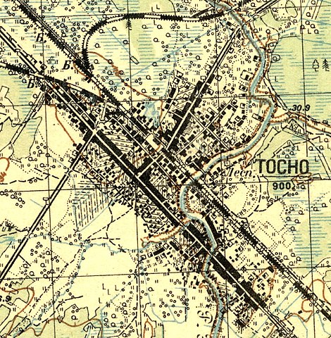 План села Тосно. 1931 год