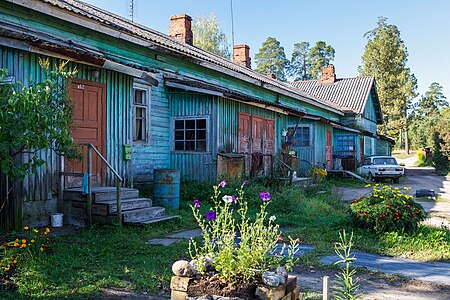 Каменногорск. 2014 год