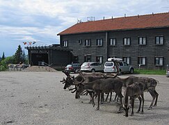 Гостиница «Паллас»