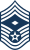 Chief Master Sergeant