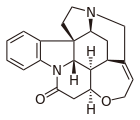 Стрихнин — алкалоид индолового ряда, впервые обнаружен и выделен из рвотных орешков — семян растения чилибу́хи (Strychnos nux-vomica). Чрезвычайно токсичное вещество, нейротоксичной природы, является антагонистом глициновых рецепторов ЦНС. При отравлении симптоматическая картина напоминает столбняк: происходит возбуждение ЦНС, risus sardonicus, возможны генерализованные судороги мышц — тетания, дыхательный паралич и смерть от остановки дыхания или асфиксии[97]. LD50 ~ 1 мг/кг.