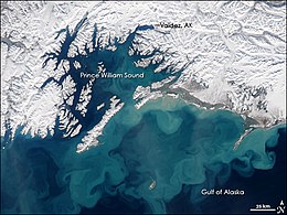 Вид на залив Аляска из космоса