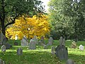 Кладбище Central Burying Ground