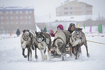 Праздник народов Севера (озеро Молодёжное)