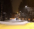 Дорожка в парке Åströminpuisto[fi] в городе Оулу, Финляндия