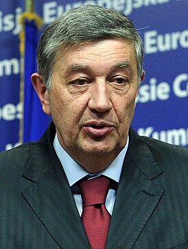 Н. Радманович в 2009 году