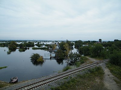 Улица пос. Приамурский. До Хабаровска (на горизонте) можно доплыть на лодке, объезжая деревья.