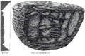 Рисунок чёрного камня Каабы в фрагментарной форме, лицевая и боковая иллюстрации.