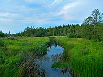 Река Оредеж в д.Большое Заречье