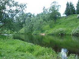 Ловать в верхнем течении.