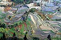 Террасные рисовые поля в округе Юаньян, провинция Юньнань, южный Китай