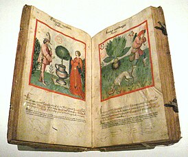 Tacuinum sanitatis ок. 1450 года