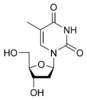 Chemical structure of thymidine