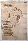 Анатомическая штудия. 1674. Бумага, перо, тушь. Академия Святого Луки, Рим