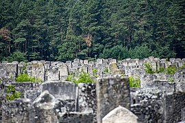 Еврейское кладбище в Бродах