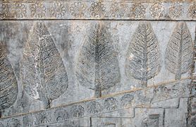Изображение деревьев и цветов лотоса в Ападане, Персеполь