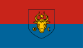 Вариант флага Молдавии, предложенный фракциями ПКРМ и ПСРМ в 2010 г.