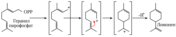 Биосинтез лимонена