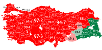 Турко- и курдоговорящее большинство в 1965 году