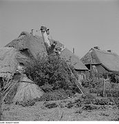 Рыбацкие дома в Гуддеритце 1962/63 год