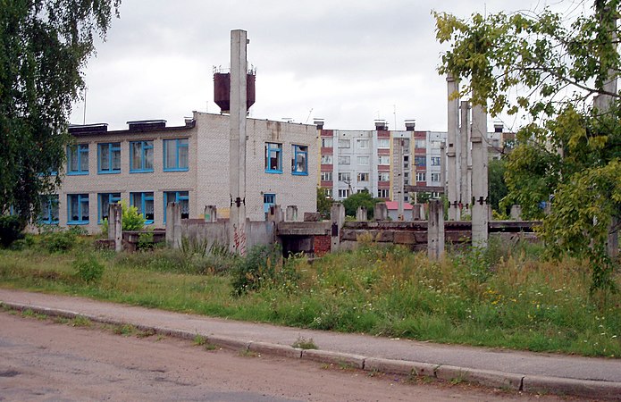 Деревня Большое Кузёмкино. 2008 год