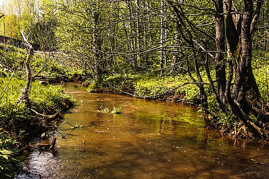 Река Лубья в парке Кенша