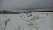 Floodplain of the river