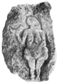 Женщина с рогом. Рельеф из Лосселя. Известняк. Высота около 0,5 м. Верхний палеолит, Ориньякское время.