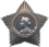 Орден Суворова III степени  — 1945