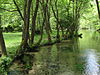 Парк Vrelo Bosne (лето 2010)