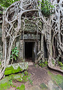 Ангкорские джунгли вокруг Та-Прохма