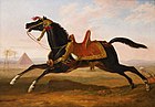 Конь мамлюка. Ранее 1836 г. Холст, масло