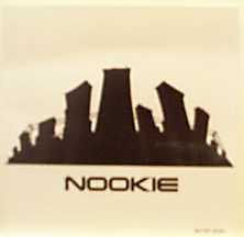 Обложка сингла Limp Bizkit «Nookie» (1999)