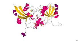 Кристаллическая структура человеческого адреноксина (FDX1)[8].