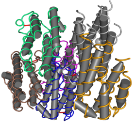 Молекулярная структура интерферона-α