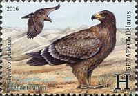 Степной орёл на почтовой марке Белоруссии, 2016