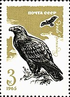 Степной орёл на почтовой марке СССР из серии «Хищные птицы», 1965