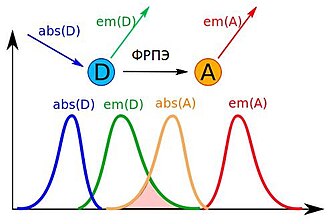 Fret — emission spectra scheme.svg