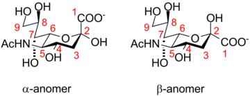 Аномеры нейраминовой кислоты